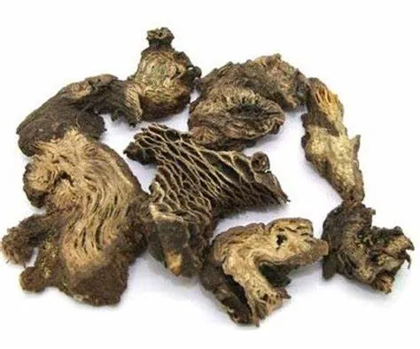 升麻