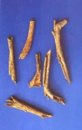 地骨皮