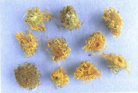 旋覆花