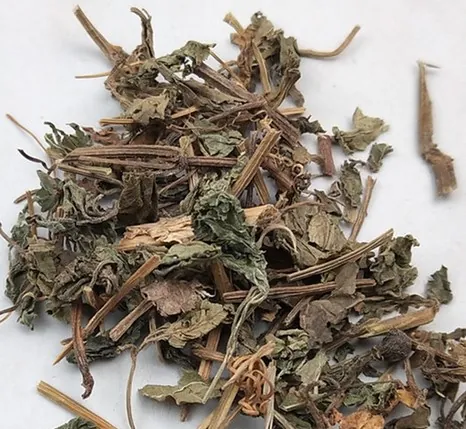 绞股蓝