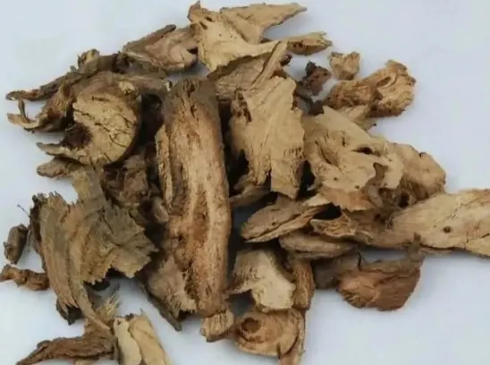 苎麻根
