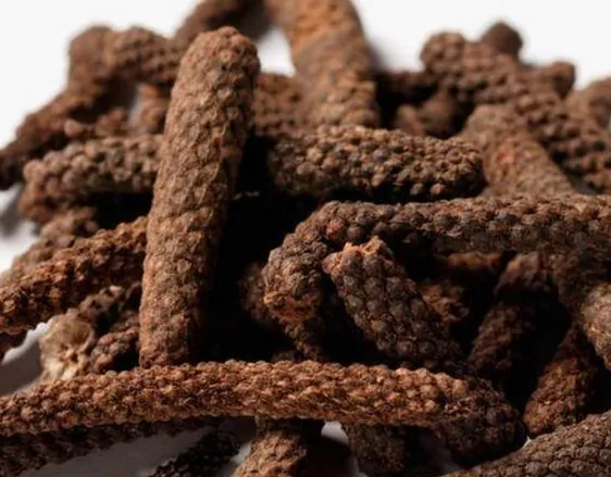 荜茇