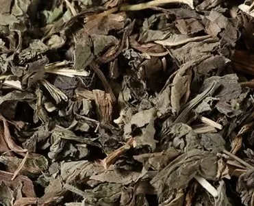 败酱草