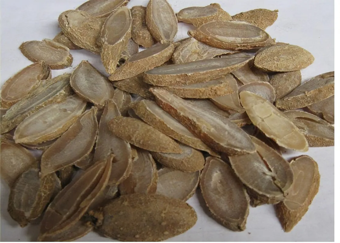郁金