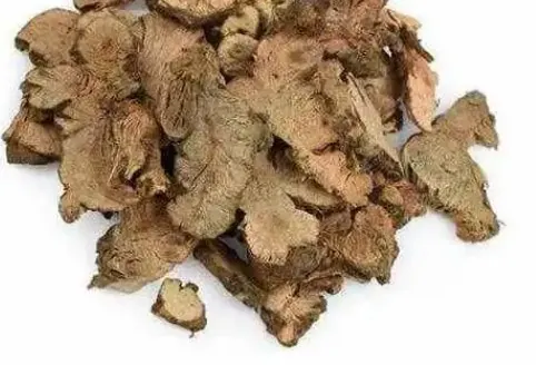 金荞麦