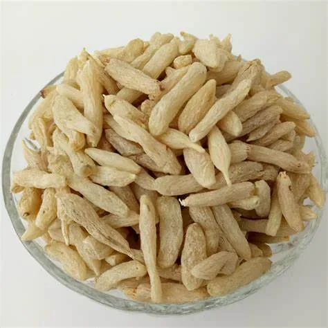麦冬