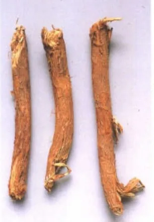 麻黄根